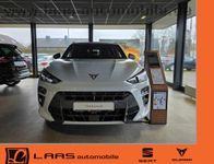 Cupra Terramar - Vorschau Bild 2