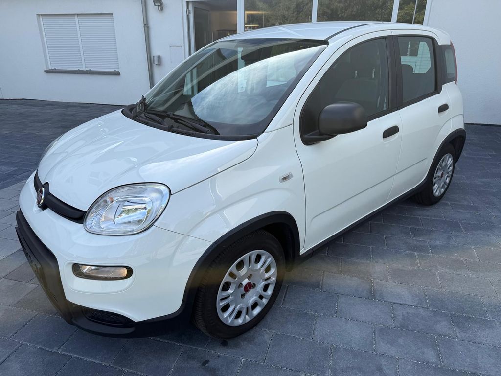 Image of Fiat Panda