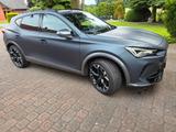 Cupra Formentor 2.0 TSI 228kW Garantie VZH 4Drive DSG  - Cupra Formentor mit Benzin-Antrieb: Garantie