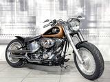 Harley-Davidson Harley Davidson FLSTF Fat Boy 105th Anniversary  - Offers