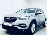 Opel Grandland (X) Business Edition * 1.H * R-KAM * - Opel Grandland (X) Business-Edition mit Diesel-Antrieb