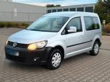 Volkswagen VW Caddy 1.6 TDI Roncalli Edition TÜV Neu - Volkswagen Caddy: Roncalli Edition