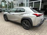 Lexus UX 200 Automatik Launch Edition - Lexus UX: Launch Edition