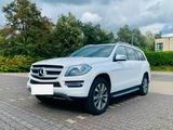 Mercedes-Benz GL 450 4.7 V8  Luxus, Kraft... - Mercedes-Benz GL-Klasse in Essen