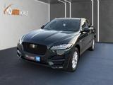 Jaguar F-Pace Portfolio AWD+LED+ACC+PANO+STHZ+BLACKPACK - Jaguar: Grün