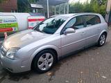 Opel Signum 1.8 "Ideal für Anfänger" - Opel Signum: 1.8