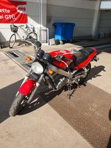 Honda Hawk NT 647 RC 31 - HONDA HAWK