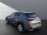 Lexus UX 250 h*KAMERA* - Lexus UX Gebrauchtwagen