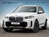BMW X5 xDrive40d M-Sport AHK 2-A-Luft StdHz ACC PANO