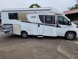 Carado T449