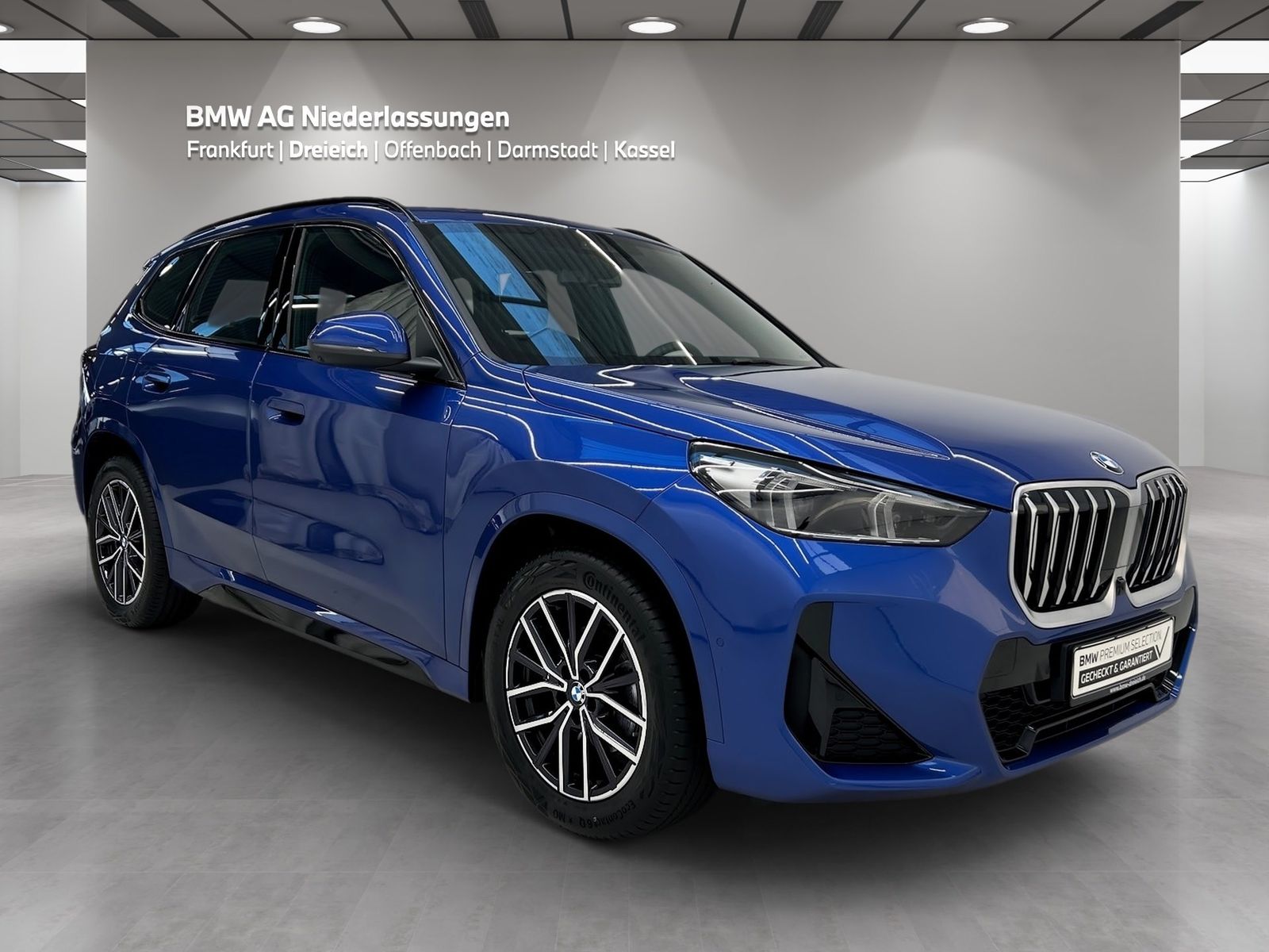 BMW X1 xDrive20d M Sport AHK Driv.Assist Head-Up foto 3
