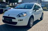 Fiat Punto Young Edition *Dash-Cam* - gebrauchte Fiat Punto aus dem Jahr 2014