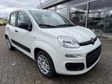 Fiat Panda 1.0 Hybrid SITZHEIZUNG,ALLWETTER,TFT-TACHO - Fiat Panda Gebrauchtwagen in Karlsruhe