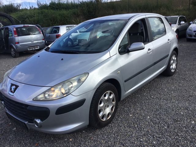 Peugeot 307 Grand Filou Cool