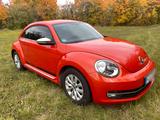 Volkswagen VW Käfer New Beetle - Volkswagen: Kaefer