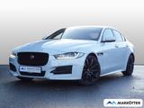 Jaguar XE R-Sport/NAVI/PDC/BI-Xenon/360°CAM/Pano/SHZ/ - weiße Jaguar XE
