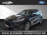Ford Kuga ST-Line leichter Hagelschaden Sportpaket - mit Diesel-Antrieb: Hagel