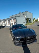 Ford Mustang 5.0 GT - Ford Mustang in Köln