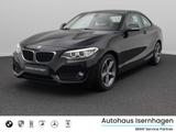 BMW 218d PDC Sitzhz Xenon Sport Geschwindigkeitreg - BMW: Sport