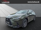 Lexus NX 350 h 243 PS Executive Inter ieur Paket + Tec - Lexus NX 350h Neuwagen