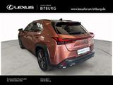 Lexus UX 300 h F-Sport Design 15 Jahre Lexus Relax Gar - Lexus UX Tageszulassungen