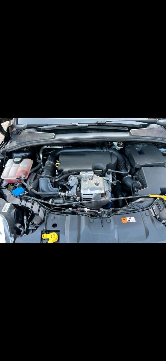 Ford Focus 2013 — photo 8