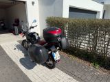 Moto Guzzi Breva 750 I.E. *Service neu *TUV neu  - MOTO GUZZI T