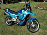 Suzuki DR 800 SU  SR 43 B - Angebote