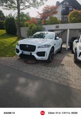 Jaguar F Pace 4x4,R Sport 300 D, AWD V 6 - Jaguar F-Pace 300-SPORT