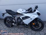 Triumph Daytona 660 mit 829,- Preisvorteil* -Probefahren - TRIUMPH DAYTONA 660