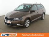 Skoda Fabia 1.0 TSI Clever - Skoda Fabia Gebrauchtwagen in Frankfurt
