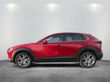 Mazda CX-30 2.0l "Selection" "PRE-P" "BOSE" M Hybrid - Mazda Gebrauchtwagen in Berlin