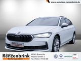Skoda Superb Combi 2.0 TDI Selection DSG AHK+RFK+MATRI