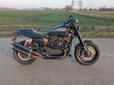 Harley-Davidson XR1200X Winterpreis ! - Angebote