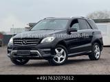 Mercedes-Benz ML350CDI BlueTec AMG-Sportpaket Bi-Xenon Kamera - Mercedes-Benz ML 350: Cdi AMG