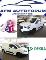 Opel Combo Cargo Edition --1.Hand-TÜV/AU NEU-- - Opel Combo Gebrauchtwagen in Berlin