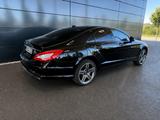 Mercedes-Benz CLS 350 - ## SURVIVER ## EINHORN ## ZEITKAPSEL