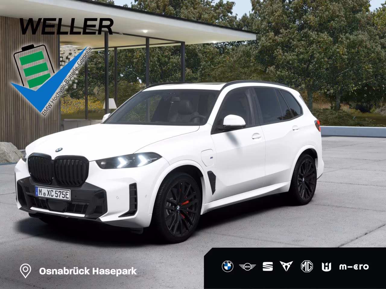 BMW X5 xDr 50e M SPORT PRO 2Achs,AHK,Pano,H/K,DAPro
