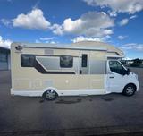 Ahorn Canada TU plus 