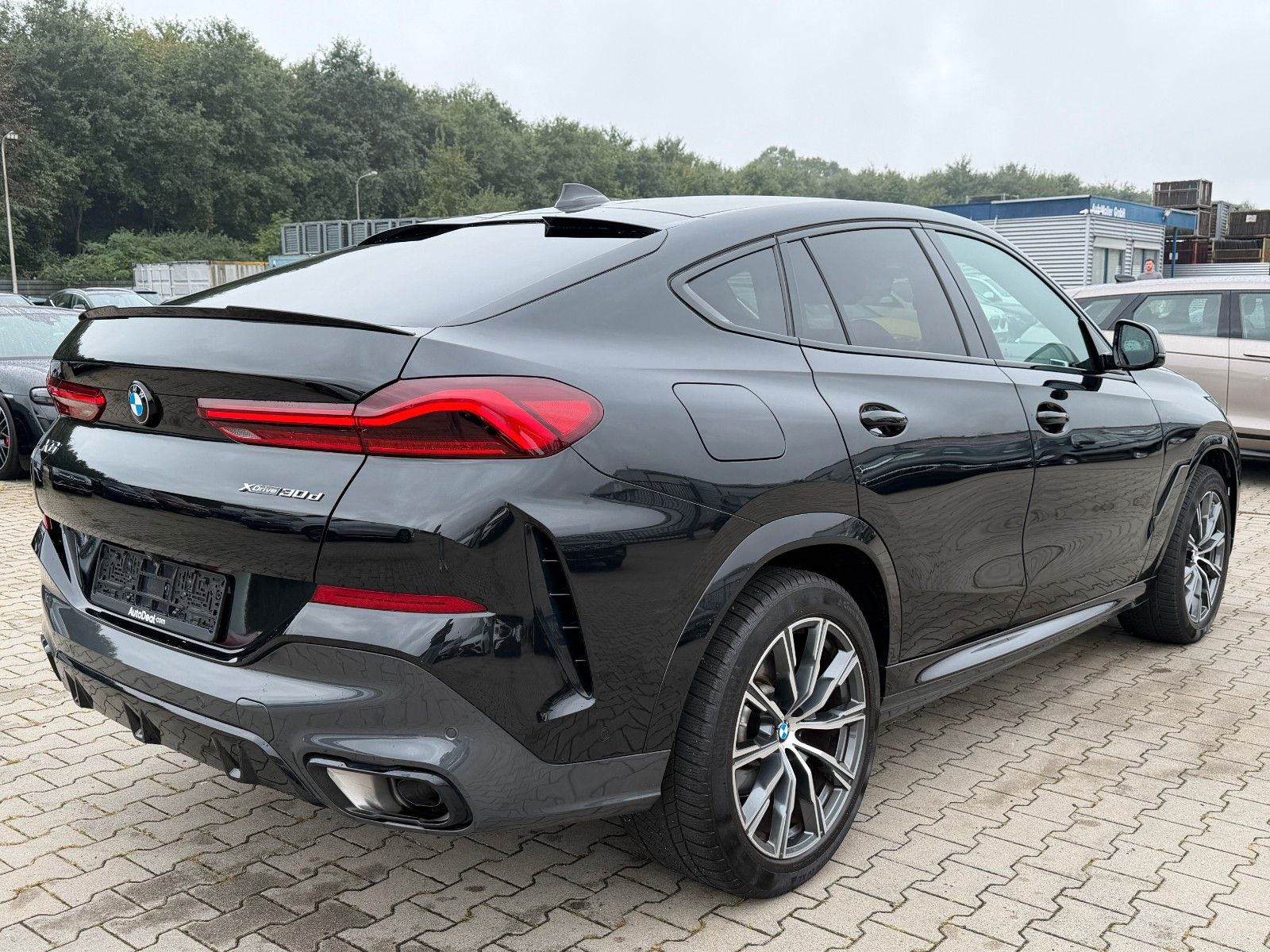BMW X6 30d M Sport xDrive ACC Iconic glow foto 4