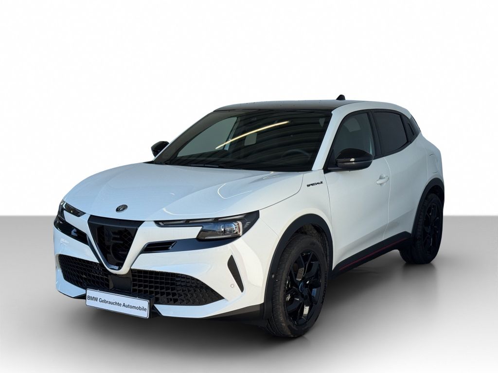 Image of Alfa Romeo Junior