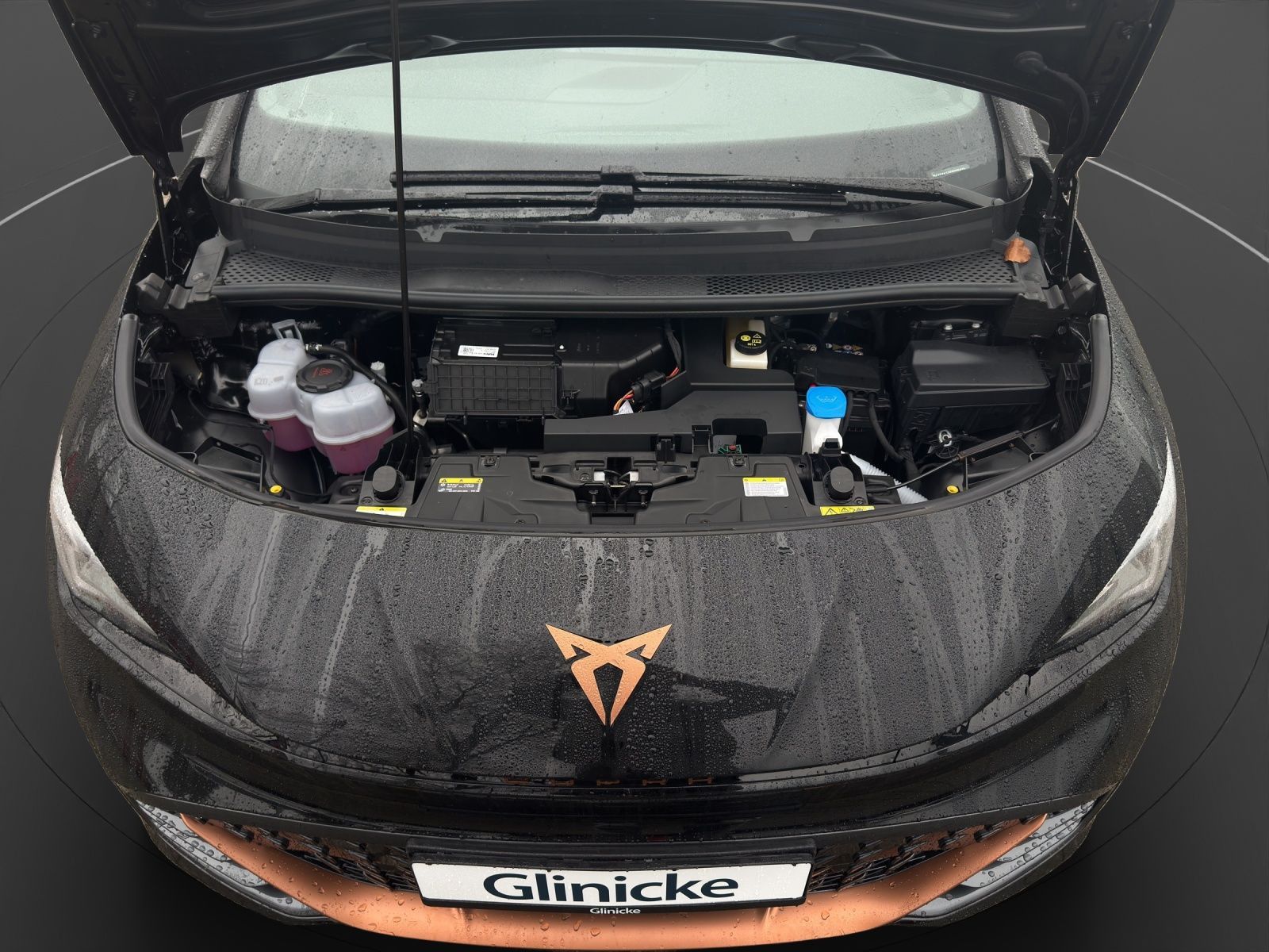 Cupra Born - Bild 19