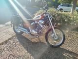 Yamaha XVI 535 DX Virago  - Offers matching your search criteria
