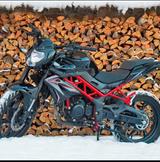 Benelli BN 125 - BENELLI VON 81 BIS 125 CCM
