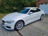 BMW 435d xDrive Cabrio Advantage - BMW 435 mit Diesel-Antrieb