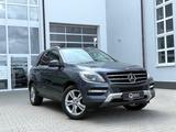 Mercedes-Benz ML 250 CDI *AHK*KAME*STANDH*DISTR+* - Mercedes-Benz mit Diesel-Antrieb: Ml