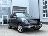 Mercedes-Benz ML 250 CDI *AHK*KAME*STANDH*DISTR+* - Mercedes-Benz ML 250 mit Diesel-Antrieb