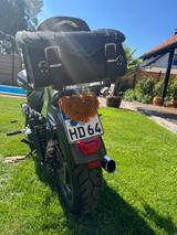 Harley-Davidson Sportster 1200 custom black - HARLEY-DAVIDSON BLACK
