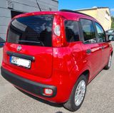 Fiat PANDA 1,2 KLIMA/Tüv neu/ - Fiat Panda aus 2013