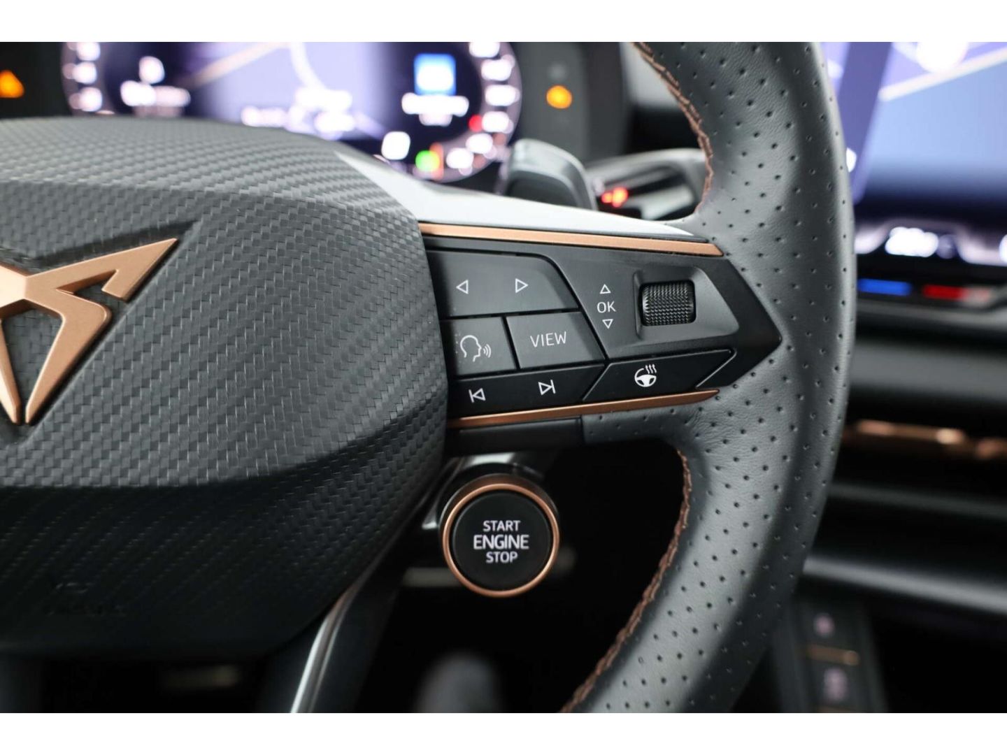 Cupra Terramar - Bild 16